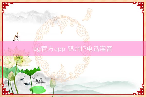 ag官方app 锦州IP电话灌音