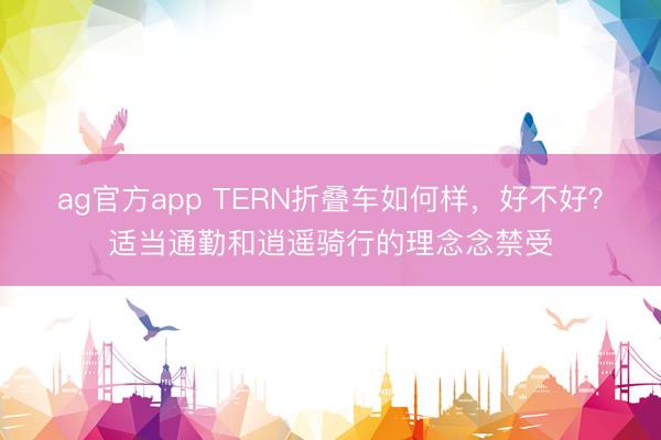 ag官方app TERN折叠车如何样，好不好？适当通勤和逍遥骑行的理念念禁受