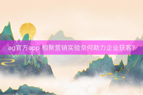 ag官方app 相聚营销实验奈何助力企业获客？