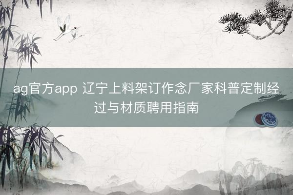 ag官方app 辽宁上料架订作念厂家科普定制经过与材质聘用指南