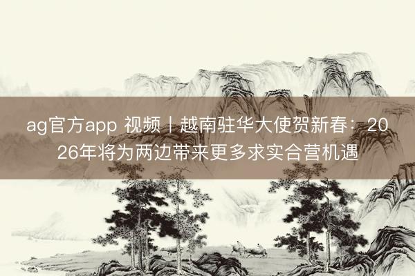 ag官方app 视频丨越南驻华大使贺新春：2026年将为两边带来更多求实合营机遇