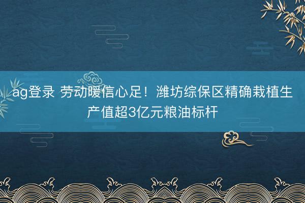ag登录 劳动暖信心足！潍坊综保区精确栽植生产值超3亿元粮油标杆