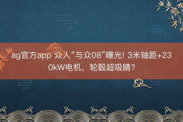 ag官方app 众人“与众08”曝光! 3米轴距+230kW电机，轮毂超吸睛?