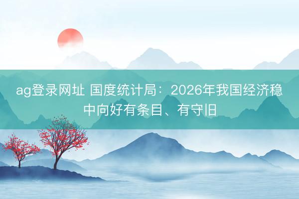 ag登录网址 国度统计局：2026年我国经济稳中向好有条目、有守旧