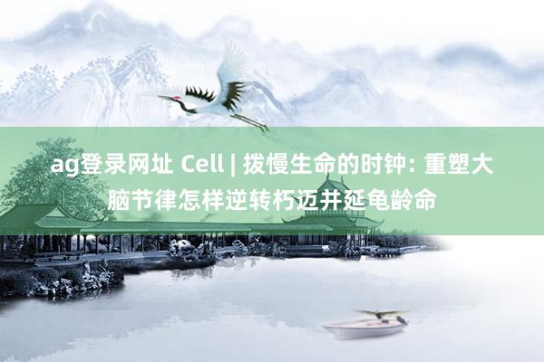 ag登录网址 Cell | 拨慢生命的时钟: 重塑大脑节律怎样逆转朽迈并延龟龄命
