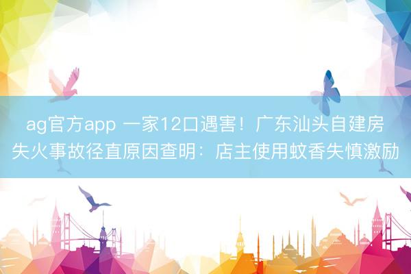 ag官方app 一家12口遇害！广东汕头自建房失火事故径直原因查明：店主使用蚊香失慎激励
