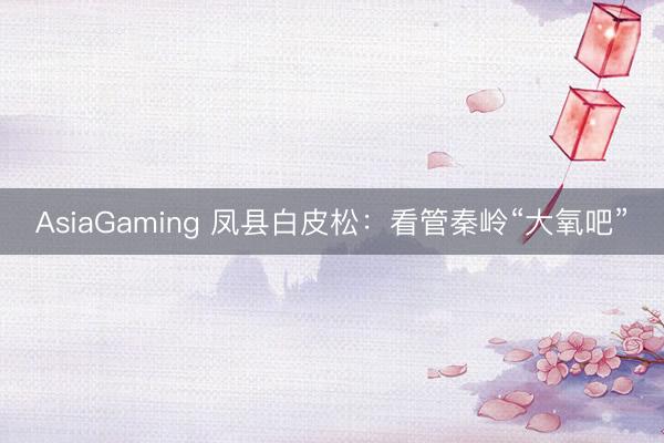 AsiaGaming 凤县白皮松：看管秦岭“大氧吧”
