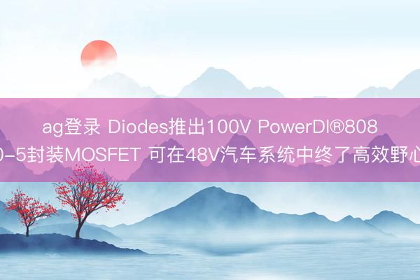 ag登录 Diodes推出100V PowerDI®8080-5封装MOSFET 可在48V汽车系统中终了高效野心