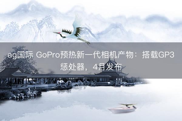ag国际 GoPro预热新一代相机产物：搭载GP3惩处器，4月发布