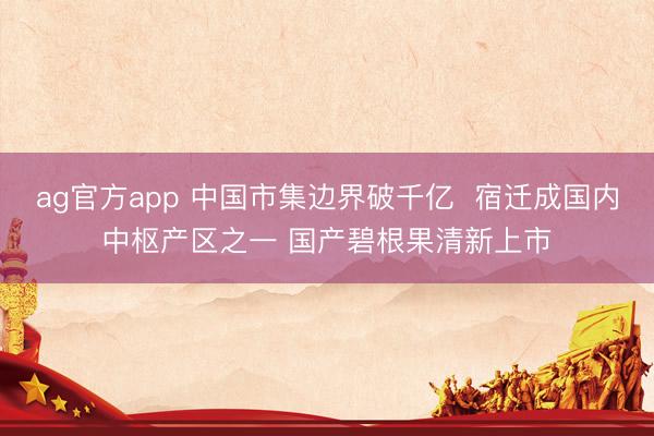 ag官方app 中国市集边界破千亿 宿迁成国内中枢产区之一 国产碧根果清新上市