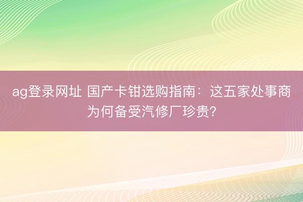 ag登录网址 国产卡钳选购指南：这五家处事商为何备受汽修厂珍贵？