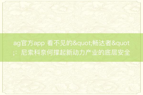 ag官方app 看不见的"畅达者"：尼索科奈何撑起新动力产业的底层安全