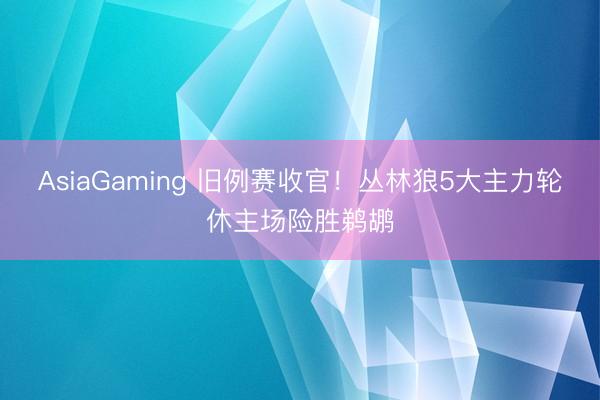 AsiaGaming 旧例赛收官！丛林狼5大主力轮休主场险胜鹈鹕
