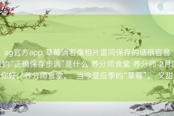 ag官方app 草莓淌若像相片雷同保存的话很容易受损！ ？ 养分师教的“正确保存步调”是什么 养分师食堂 养分师 2月2日(星期一) 17点01分  你好，养分师食堂。  当今是应季的“草莓”。 又甜又厚味，鸦雀无声就多买了的东说念主也许多