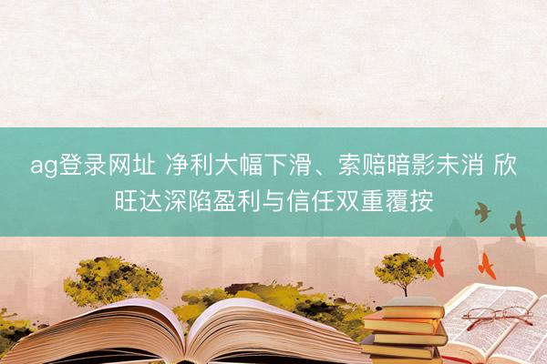 ag登录网址 净利大幅下滑、索赔暗影未消 欣旺达深陷盈利与信任双重覆按