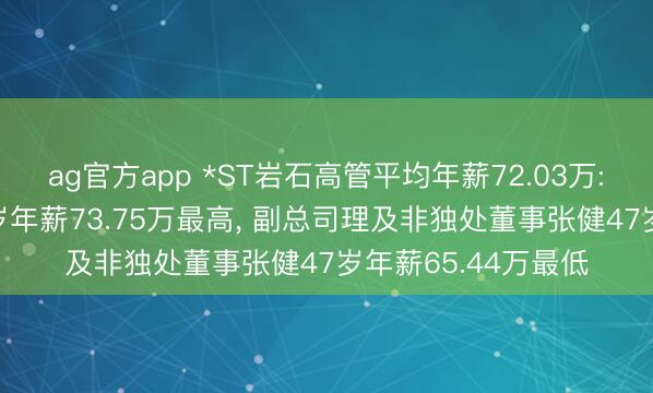 ag官方app *ST岩石高管平均年薪72.03万: 财务总监周苗51岁年薪73.75万最高， 副总司理及非独处董事张健47岁年薪65.44万最低