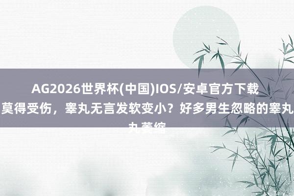 AG2026世界杯(中国)IOS/安卓官方下载 明明莫得受伤，睾丸无言发软变小？好多男生忽略的睾丸萎缩