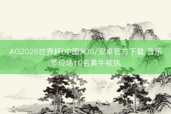 AG2026世界杯(中国)IOS/安卓官方下载 音乐节现场10名黄牛被执