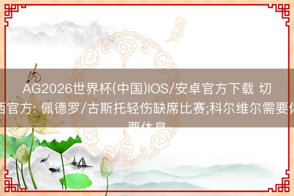 AG2026世界杯(中国)IOS/安卓官方下载 切尔西官方: 佩德罗/古斯托轻伤缺席比赛;科尔维尔需要休息