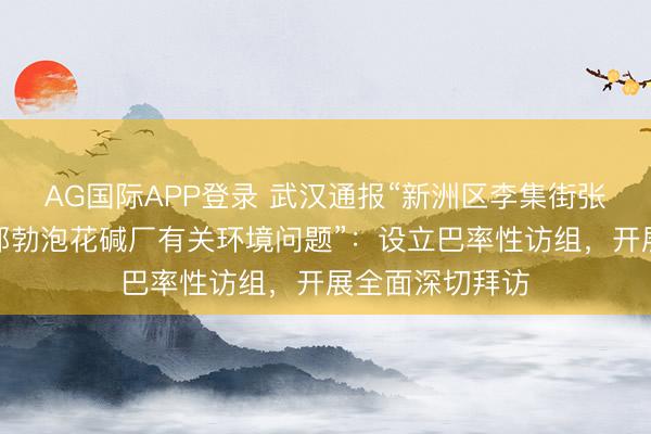 AG国际APP登录 武汉通报“新洲区李集街张信村黄土坡湾郁勃泡花碱厂有关环境问题”:设立巴率性访组,开展全面深切拜访