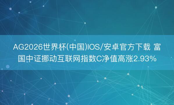 AG2026世界杯(中国)IOS/安卓官方下载 富国中证挪动互联网指数C净值高涨2.93%