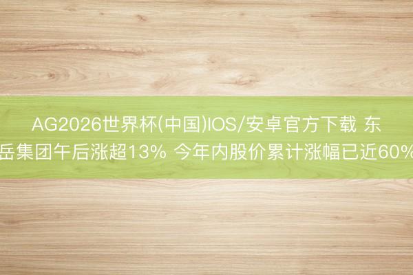 AG2026世界杯(中国)IOS/安卓官方下载 东岳集团午后涨超13% 今年内股价累计涨幅已近60%