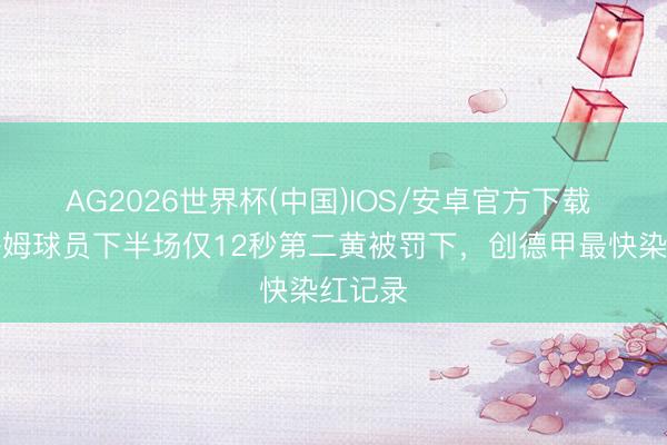 AG2026世界杯(中国)IOS/安卓官方下载 霍芬海姆球员下半场仅12秒第二黄被罚下,创德甲最快染红记录