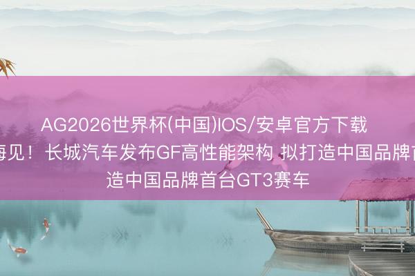 AG2026世界杯(中国)IOS/安卓官方下载 官宣来岁上海见!长城汽车发布GF高性能架构 拟打造中国品牌首台GT3赛车