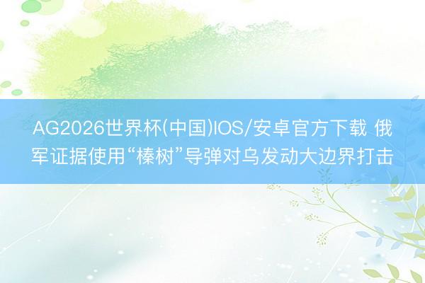 AG2026世界杯(中国)IOS/安卓官方下载 俄军证据使用“榛树”导弹对乌发动大边界打击