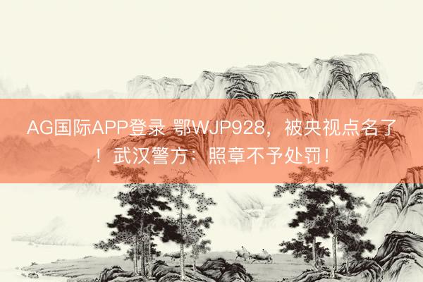 AG国际APP登录 鄂WJP928,被央视点名了!武汉警方:照章不予处罚!