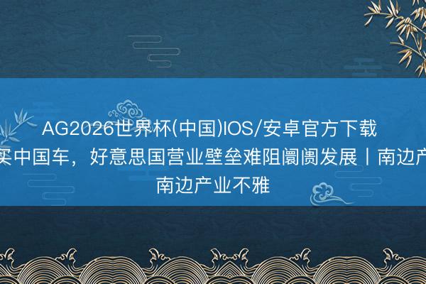 AG2026世界杯(中国)IOS/安卓官方下载 “跨境”买中国车,好意思国营业壁垒难阻阛阓发展丨南边产业不雅